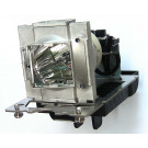 102-246 - Genuine DIGITAL PROJECTION Lamp for the MERCURY HD projector model